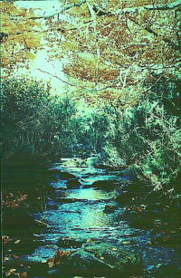 Río Manadero.