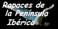 Pulsa para obtener el código de este enlace:
todaCultura: Aves de presa de la Península Ibérica