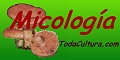 Pulsa para obtener el código de este enlace:
todaCultura: Setas tóxicas y comestibles