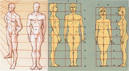 Canon del cuerpo humano y proporciones.