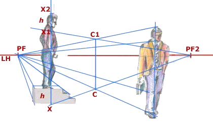 Esquema de proporciones de una persona subida 