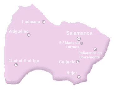 Mapa provincial de Salamanca